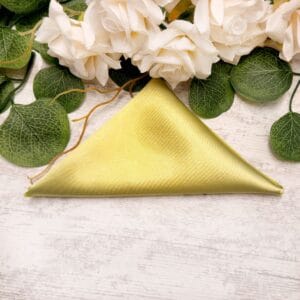 Batista Unicolor din satin 2024335