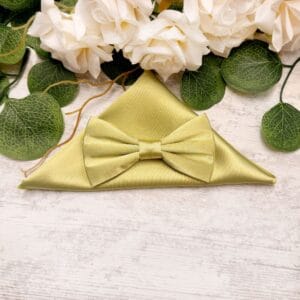 Set papion si batista unicolor 2024351